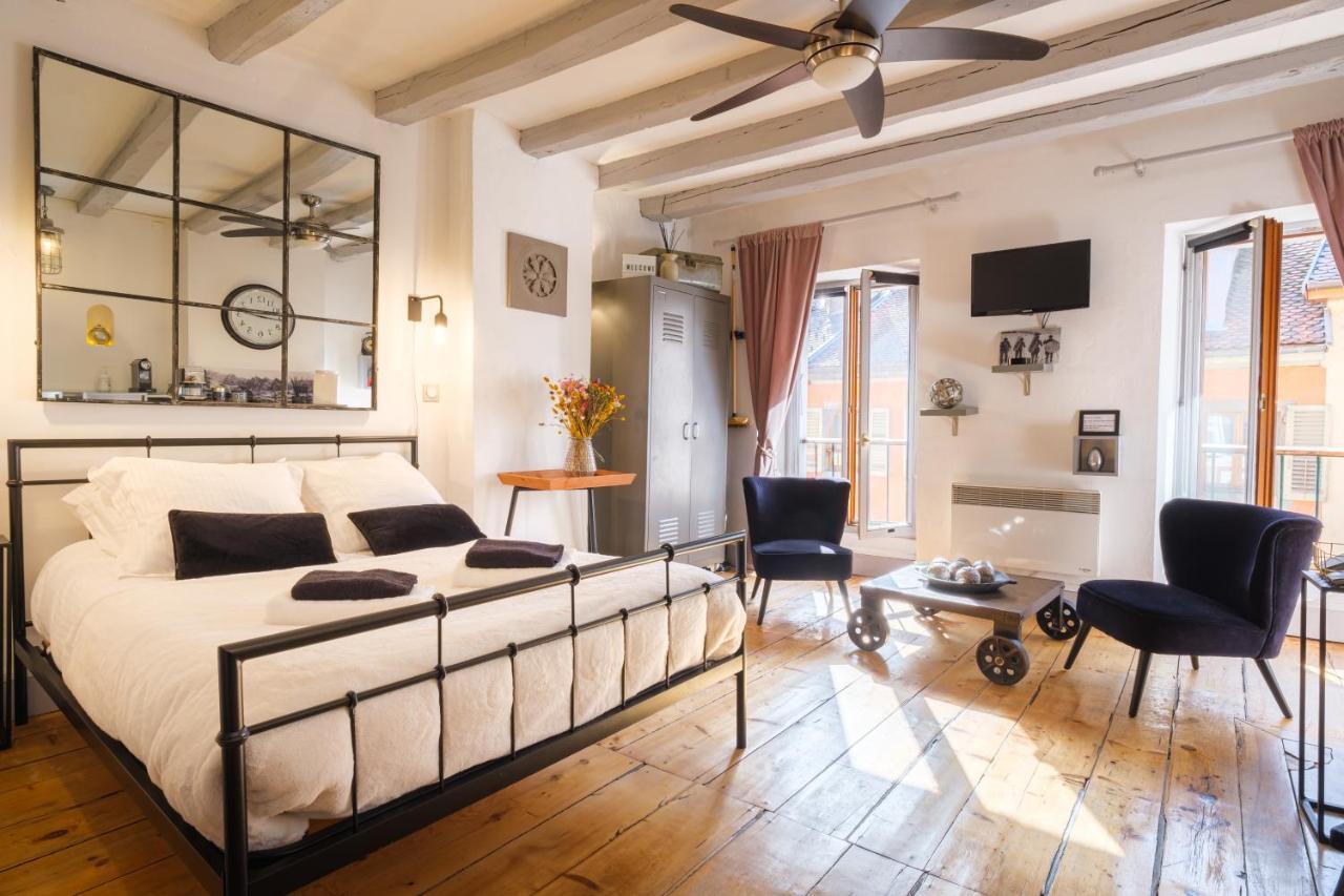 Au Grey D'Annecy, Studio Cosy Au Coeur De La Ville Exteriör bild
